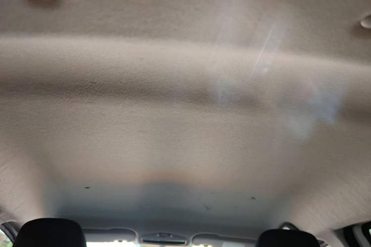 Used Geometry E Firefly 2022 320KM Cute Tiger 4-Seater Headliner