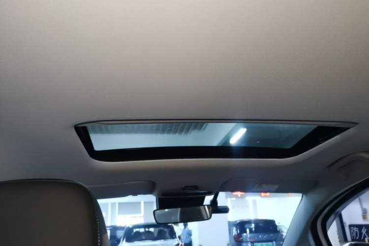 Used Geometry E Firefly 2022 401KM Lightning Tiger 5-Seater Headliner