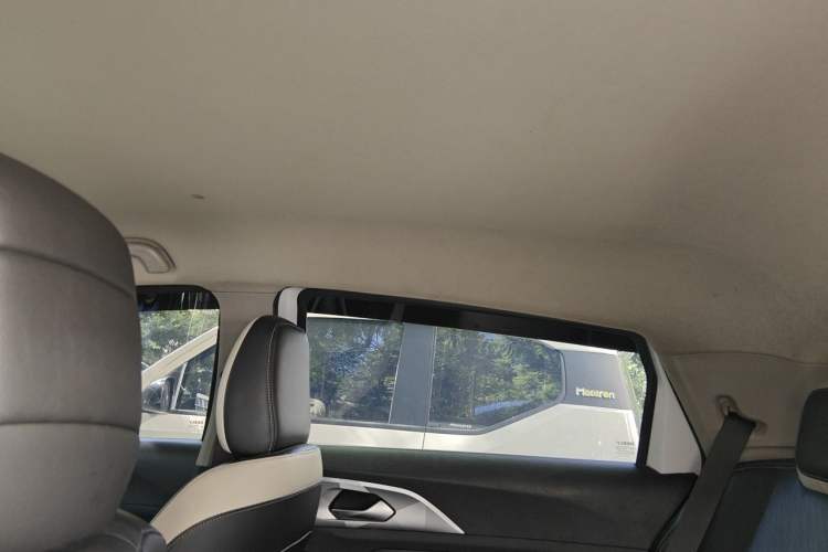 Used Geometry E Firefly 2022 320KM Cute Tiger 4-Seater Headliner