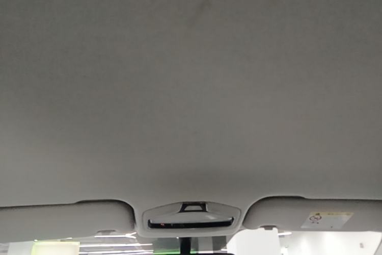 Used Geometry E Firefly 2022 320KM Cute Tiger 4-Seater Headliner