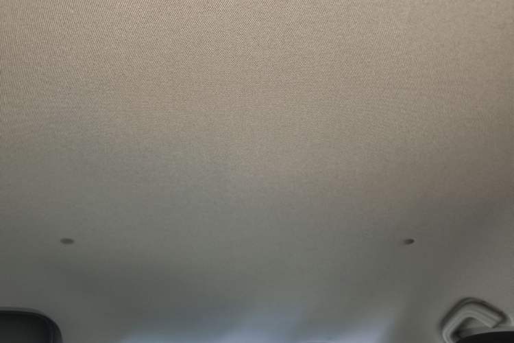Used Geometry E Firefly 2022 320KM Cute Tiger 4-Seater Headliner