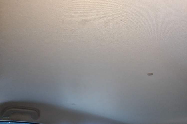 Used Geometry E Firefly 2022 320KM Cute Tiger 4-Seater Headliner