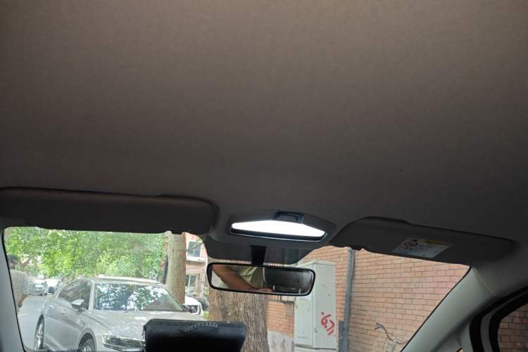 Used Geometry E Firefly 2022 320KM Cute Tiger 4-Seater Headliner