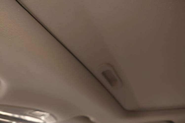 Used Geometry E Firefly 2022 401KM Lightning Tiger 4-Seater Headliner