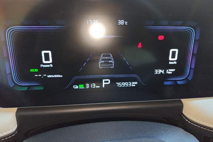Used Geometry E Firefly 2022 401 km Linglong Tiger 4 Seats Instrument Cluster