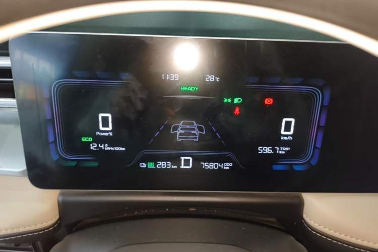 Used Geometry E Firefly 2022 401 km Linglong Tiger 4 Seats Instrument Cluster