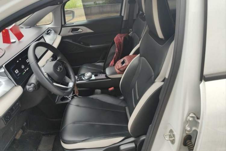 Used Geometry E Firefly 2022 401 km Linglong Tiger 4 Seats Interior 1