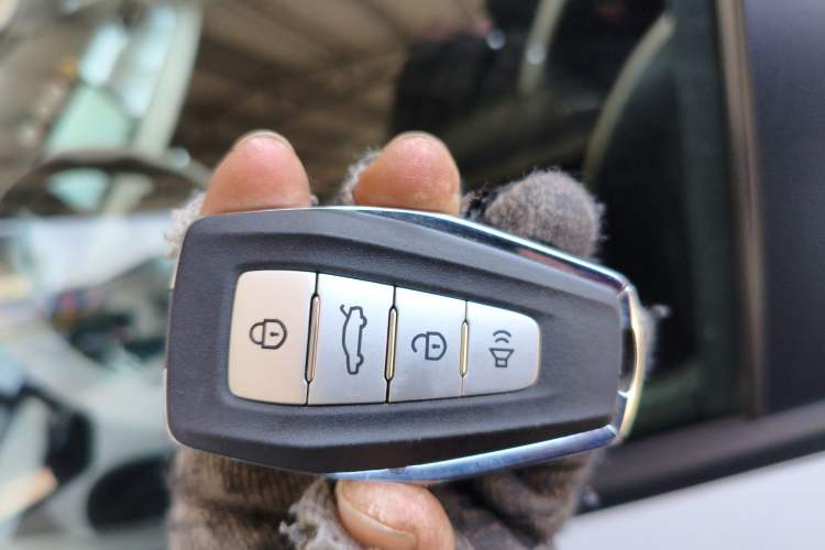 Used Geometry E Firefly 2022 401KM Lightning Tiger 4-Seater Interior 1