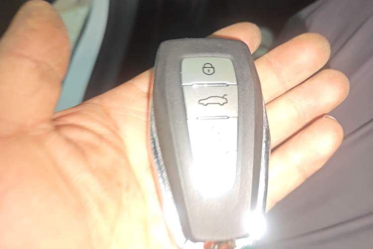 Used Geometry E Firefly 2022 320KM Cute Tiger 4-Seater Interior 1
