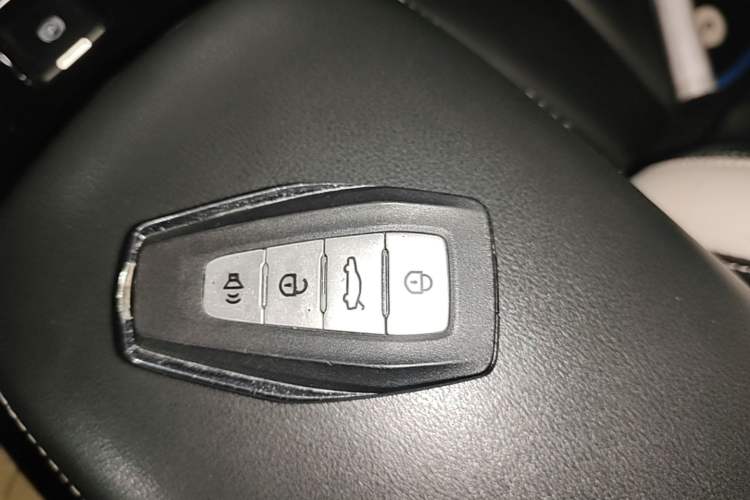 Used Geometry E Firefly 2022 401 km Linglong Tiger 4 Seats Interior 1