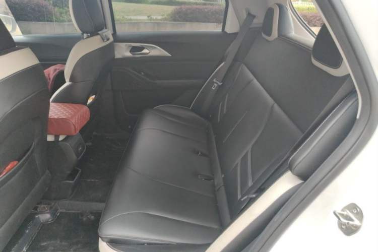 Used Geometry E Firefly 2022 401 km Linglong Tiger 4 Seats Interior 2