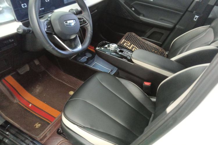 Used Geometry E Firefly 2022 401 km Linglong Tiger 4 Seats Left Front Seat