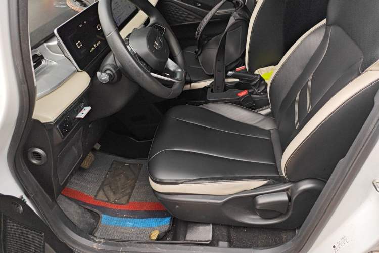 Used Geometry E Firefly 2022 320KM Cute Tiger 4-Seater Left Front Seat