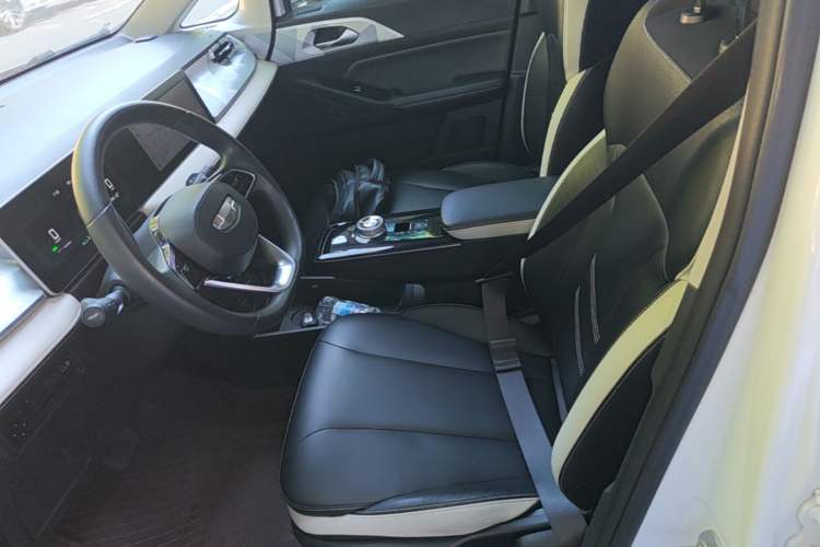 Used Geometry E Firefly 2022 401 km Linglong Tiger 4 Seats Left Front Seat