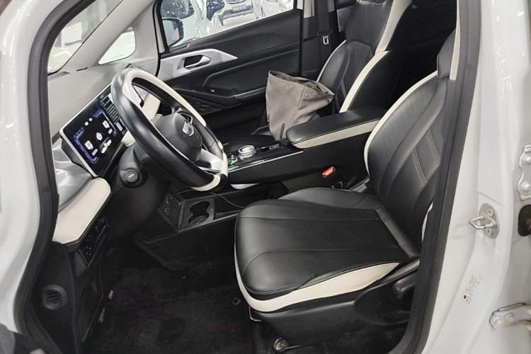 Used Geometry E Firefly 2022 401 km Linglong Tiger 4 Seats Left Front Seat