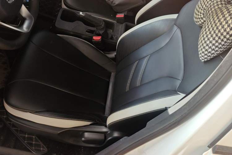Used Geometry E Firefly 2022 320KM Cute Tiger 4-Seater Left Front Seat