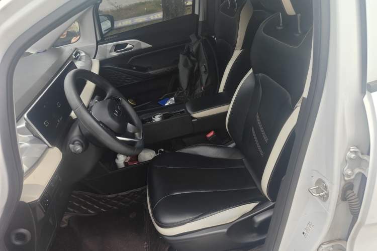 Used Geometry E Firefly 2022 401 km Linglong Tiger 4 Seats Left Front Seat