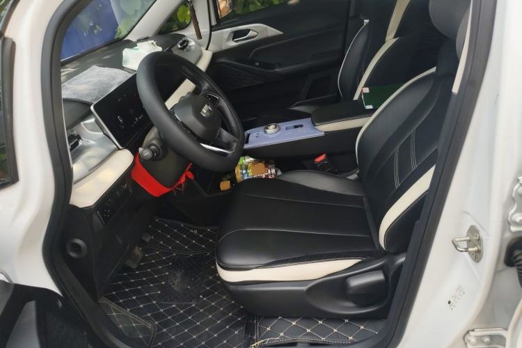 Used Geometry E Firefly 2022 401 km Linglong Tiger 4 Seats Left Front Seat