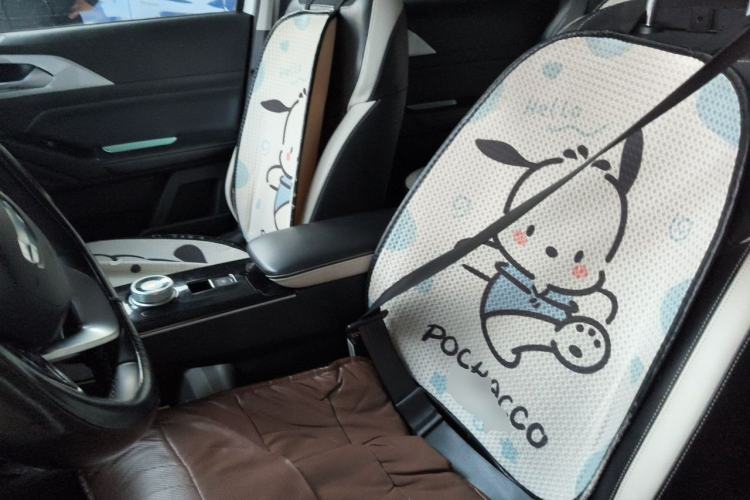 Used Geometry E Firefly 2022 401KM Lightning Tiger 4-Seater Left Front Seat