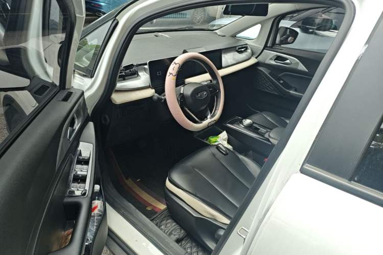 Used Geometry E Firefly 2022 401 km Linglong Tiger 4 Seats Left Front Seat