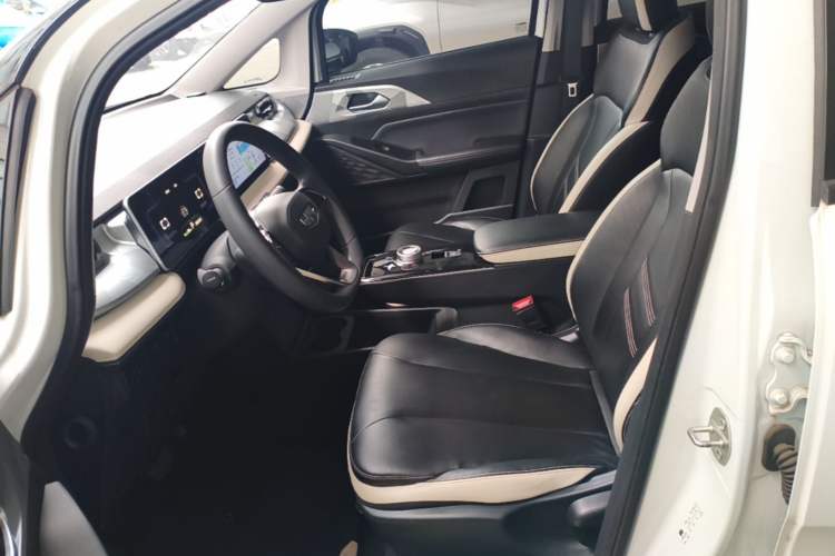 Used Geometry E Firefly 2022 401 km Linglong Tiger 4 Seats Left Front Seat