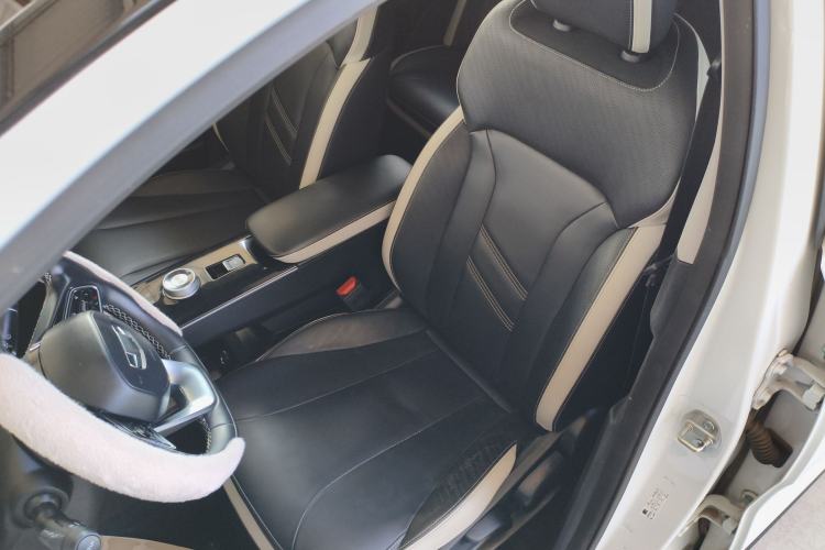 Used Geometry E Firefly 2022 401KM Lightning Tiger 4-Seater Left Front Seat