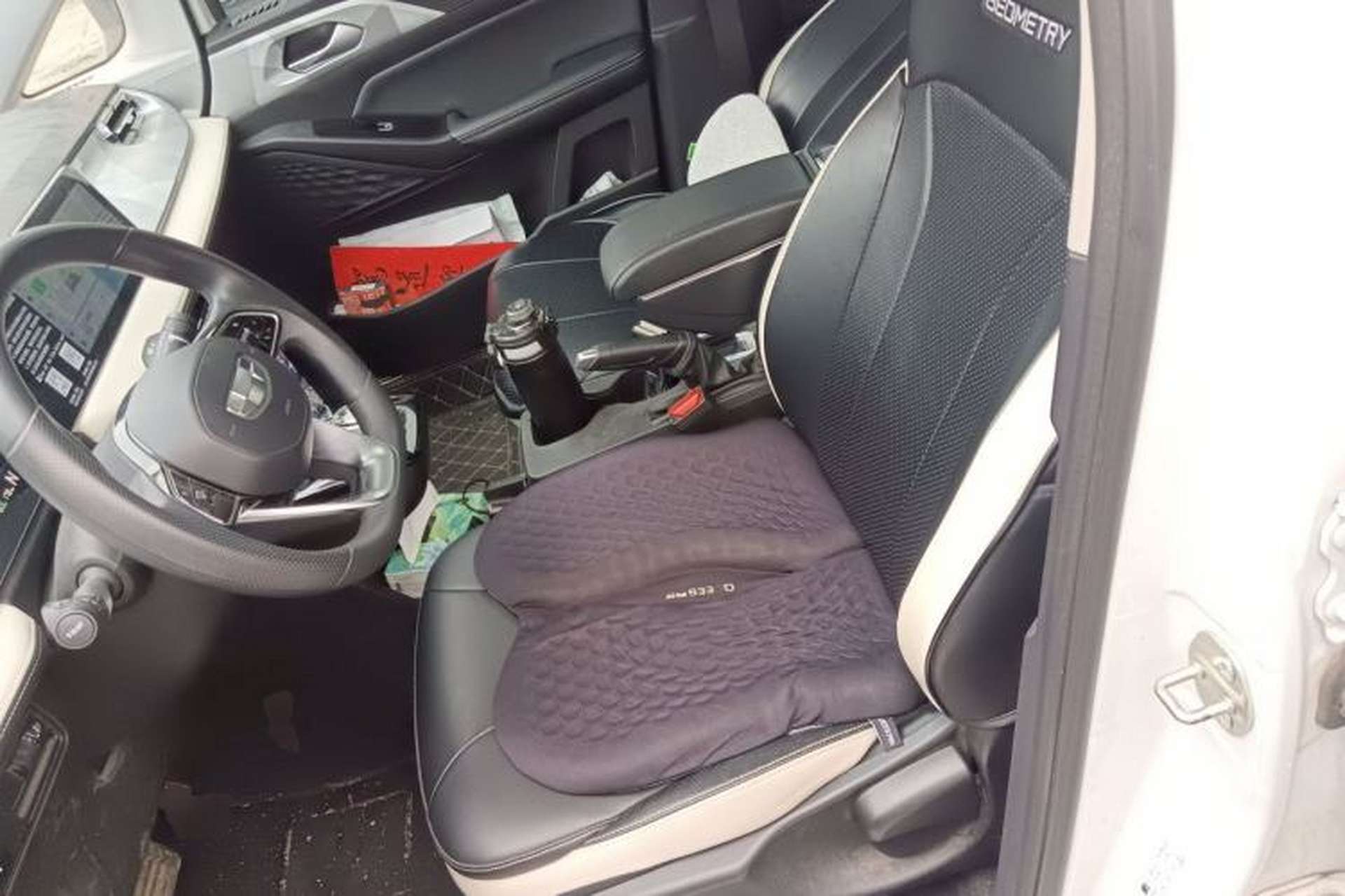 Used Geometry E Firefly 2022 320KM Cute Tiger 4-Seater Left Front Seat
