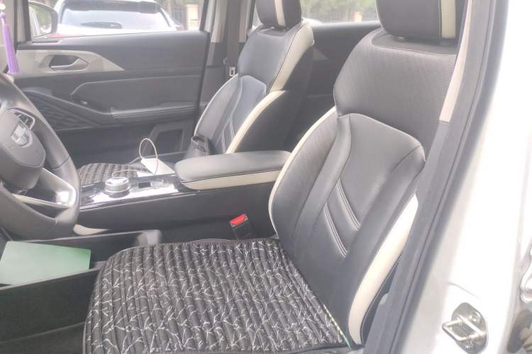 Used Geometry E Firefly 2022 401 km Linglong Tiger 4 Seats Left Front Seat
