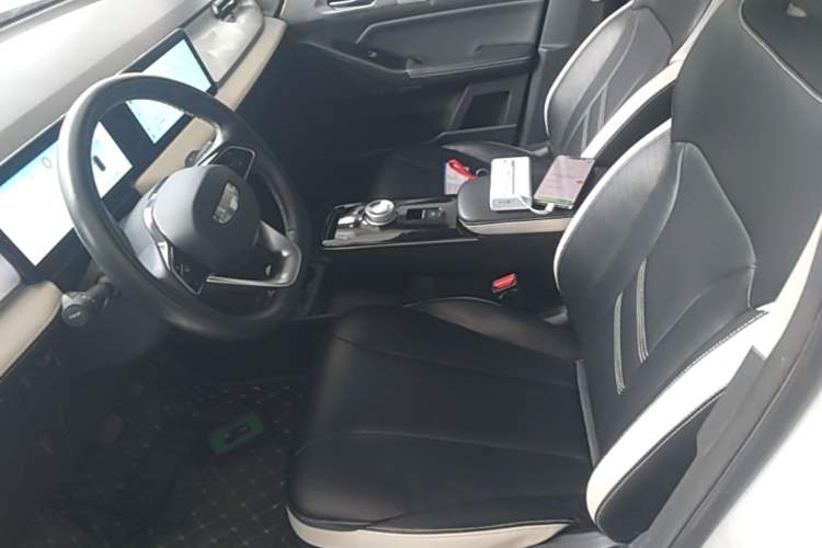 Used Geometry E Firefly 2022 401KM Lightning Tiger 4-Seater Left Front Seat