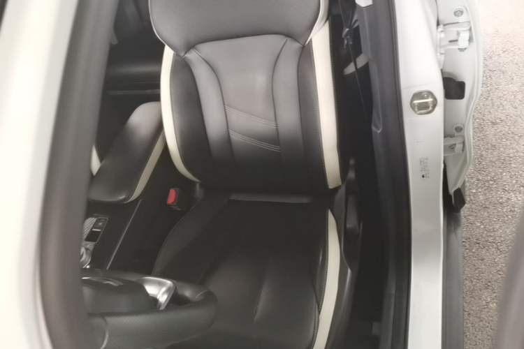 Used Geometry E Firefly 2022 401 km Linglong Tiger 4 Seats Left Front Seat