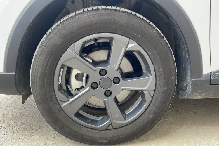 Used Geometry E Firefly 2022 401 km Linglong Tiger 4 Seats Left Front Wheel Hub