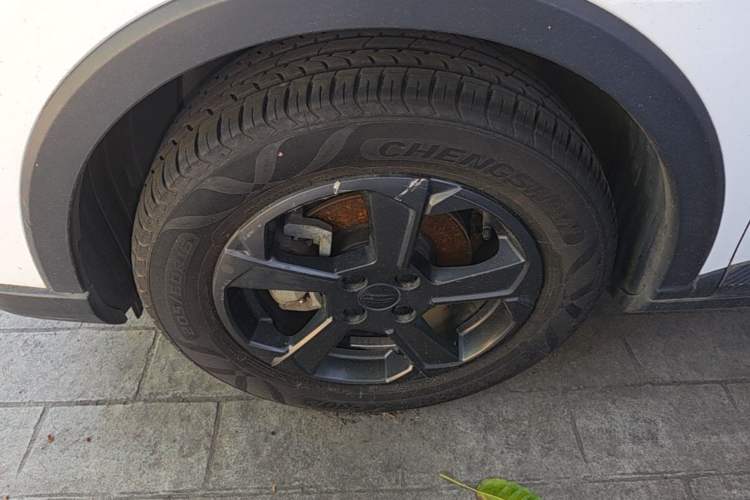 Used Geometry E Firefly 2022 401 km Linglong Tiger 4 Seats Left Front Wheel Hub
