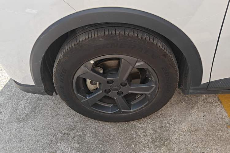 Used Geometry E Firefly 2022 401 km Linglong Tiger 4 Seats Left Front Wheel Hub