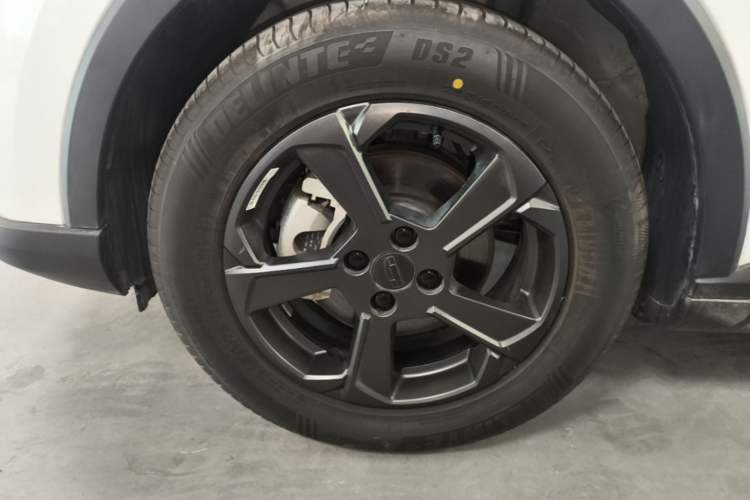 Used Geometry E Firefly 2022 320KM Cute Tiger 4-Seater Left Front Wheel Hub