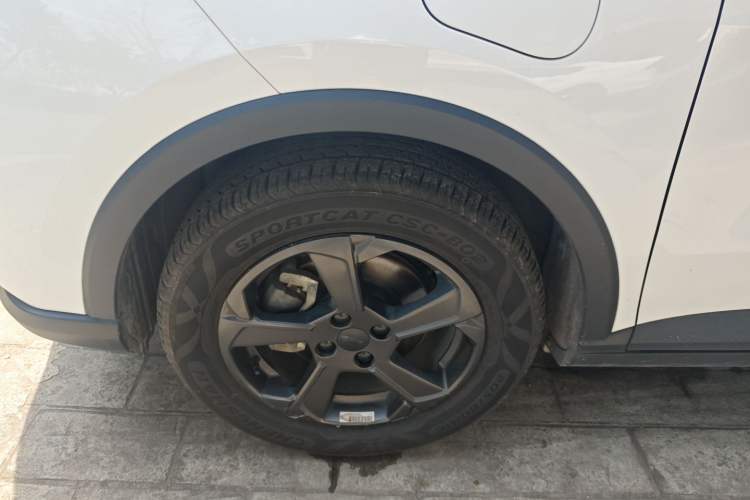 Used Geometry E Firefly 2022 401 km Linglong Tiger 4 Seats Left Front Wheel Hub