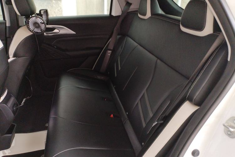 Used Geometry E Firefly 2022 401 km Linglong Tiger 4 Seats Left Rear Seat