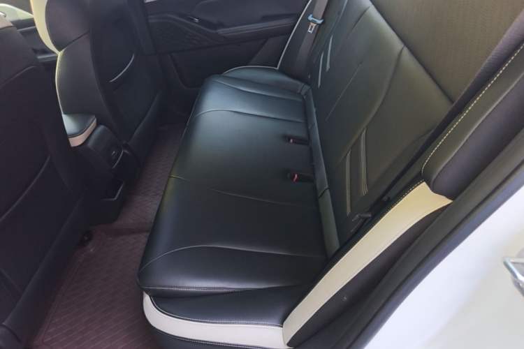 Used Geometry E Firefly 2022 401 km Linglong Tiger 4 Seats Left Rear Seat