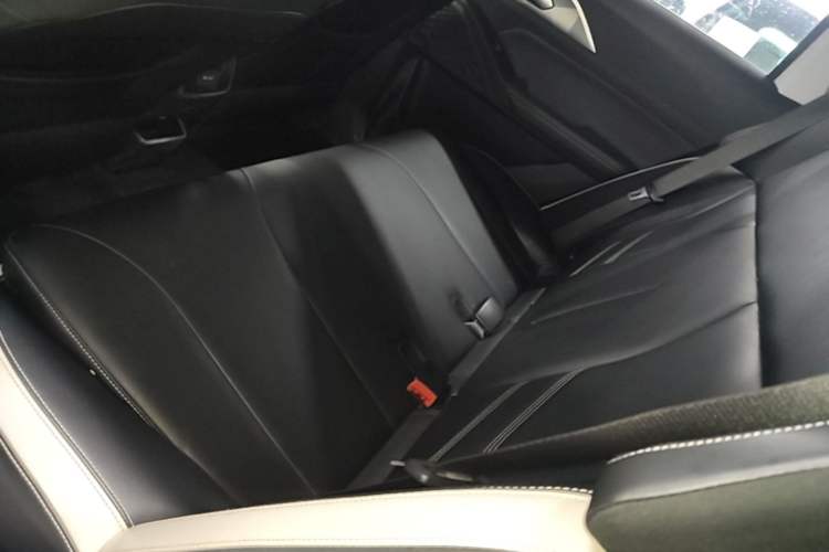 Used Geometry E Firefly 2022 401 km Linglong Tiger 4 Seats Left Rear Seat