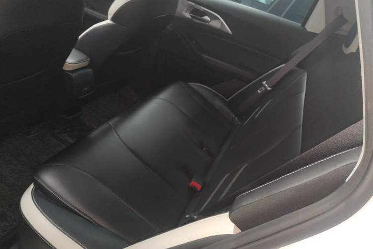 Used Geometry E Firefly 2022 401 km Linglong Tiger 4 Seats Left Rear Seat