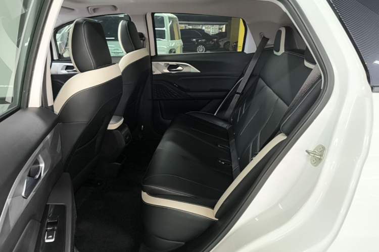 Used Geometry E Firefly 2022 401 km Linglong Tiger 4 Seats Left Rear Seat