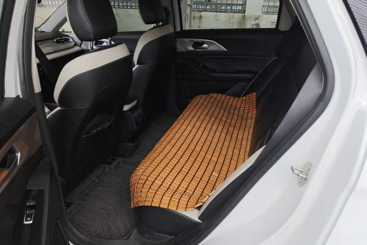 Used Geometry E Firefly 2022 401 km Linglong Tiger 4 Seats Left Rear Seat