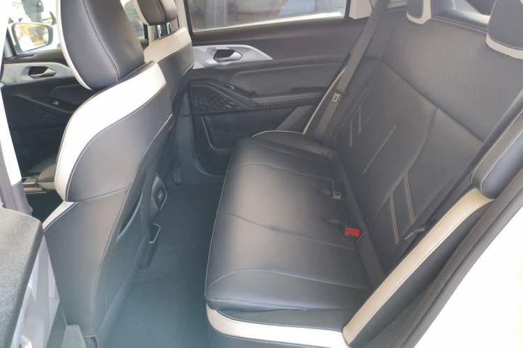 Used Geometry E Firefly 2022 401KM Lightning Tiger 4-Seater Left Rear Seat