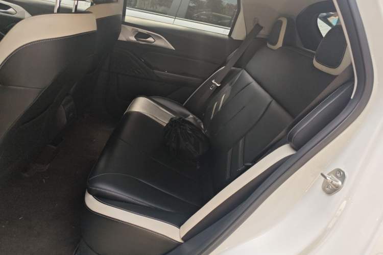Used Geometry E Firefly 2022 401 km Linglong Tiger 4 Seats Left Rear Seat