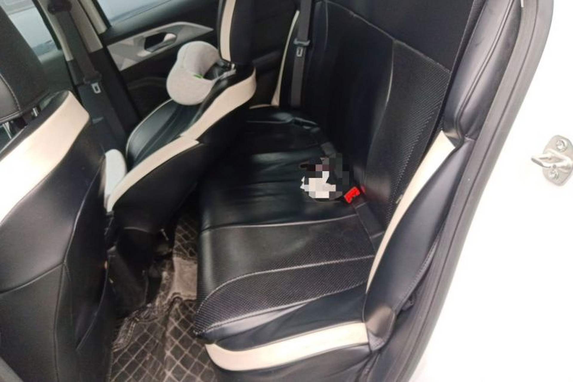 Used Geometry E Firefly 2022 320KM Cute Tiger 4-Seater Left Rear Seat