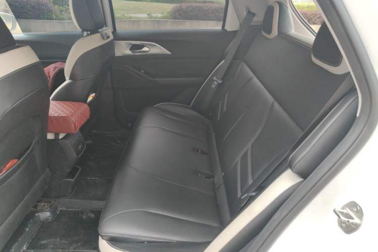 Used Geometry E Firefly 2022 401 km Linglong Tiger 4 Seats Left Rear Seat