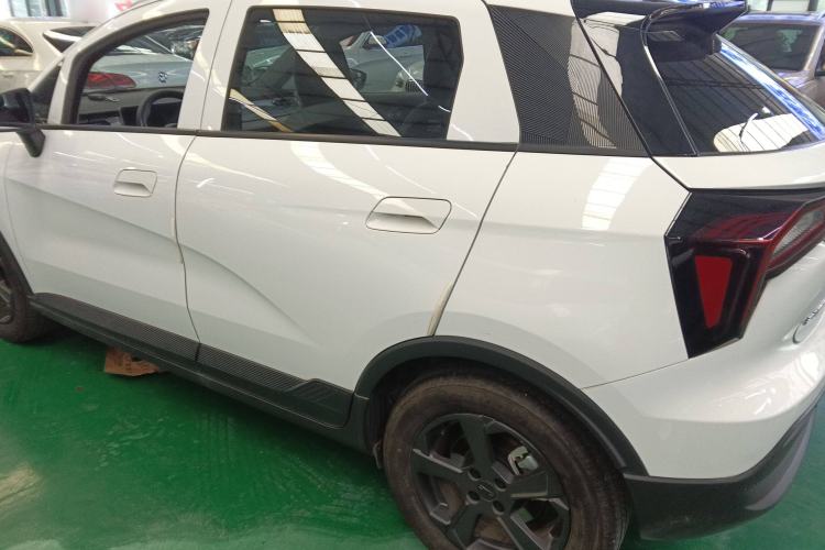 Used Geometry E Firefly 2022 401 km Linglong Tiger 4 Seats Left Side