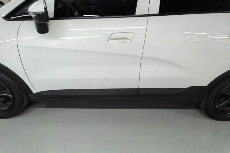 Used Geometry E Firefly 2022 401 km Linglong Tiger 4 Seats Left Side Sill