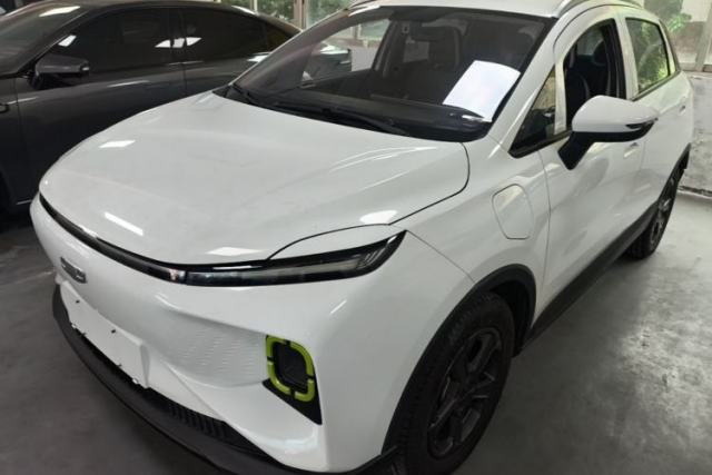 Used Geometry E Firefly 2022 320KM Cute Tiger 4-Seater