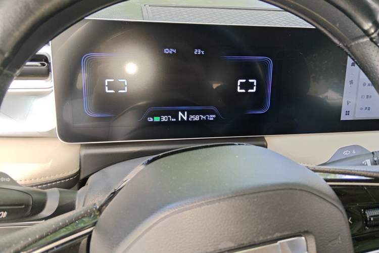 Used Geometry E Firefly 2022 320KM Cute Tiger 4-Seater Odometer Close Up