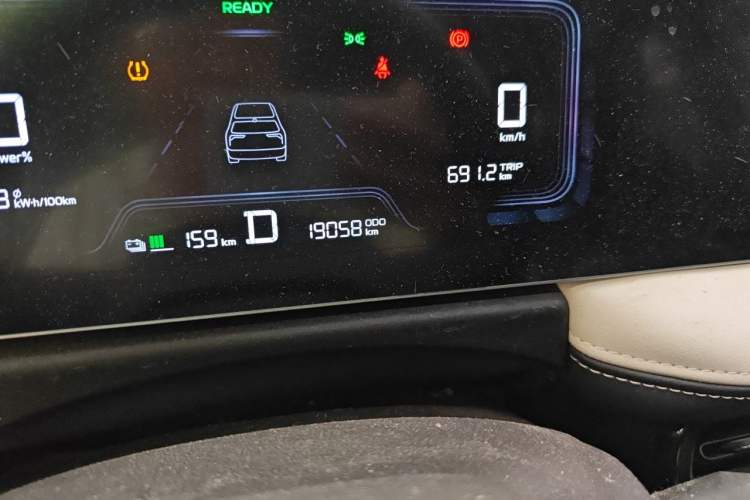 Used Geometry E Firefly 2022 320KM Cute Tiger 4-Seater Odometer Close Up